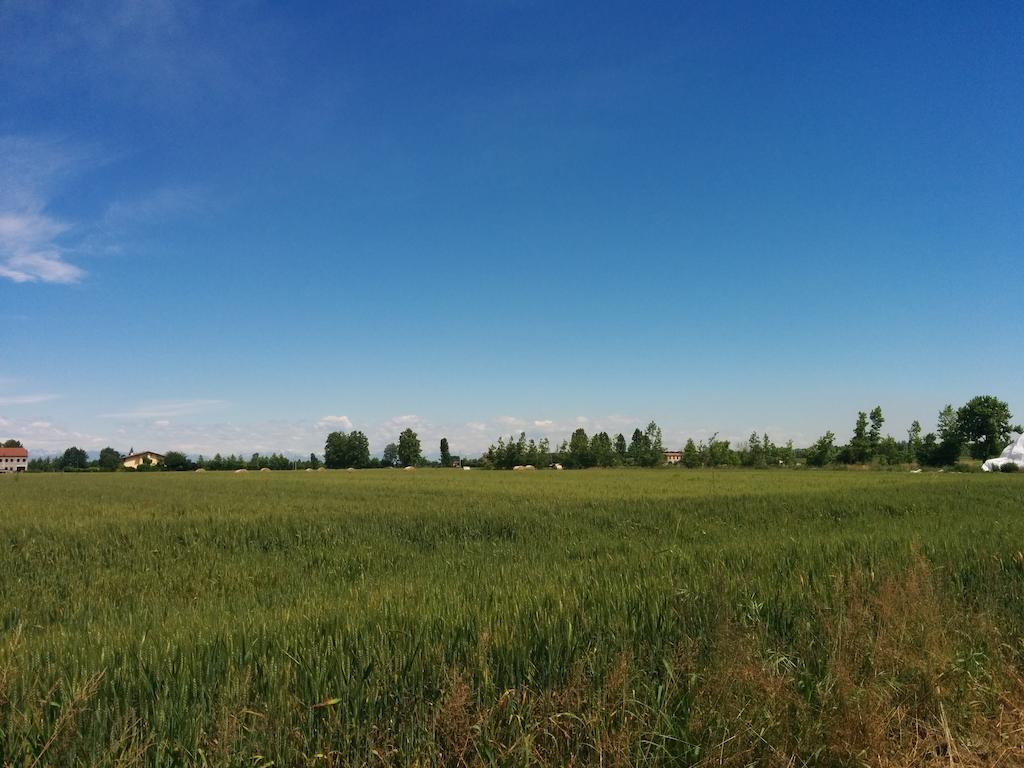 Agriturismo La Chioccia Campagna Lupia Ngoại thất bức ảnh